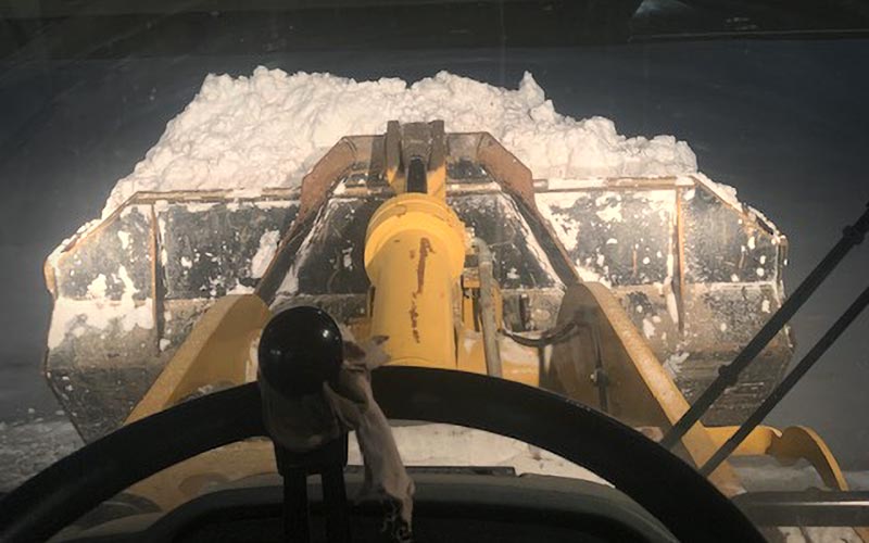 Snow Removal